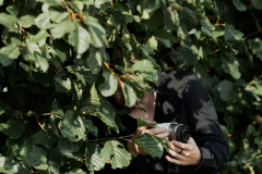 letniy-restoran-Usadba-5